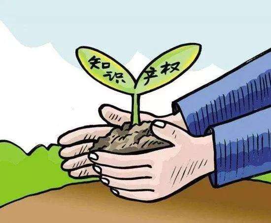 在保护和开放之间权衡的知识产权制度